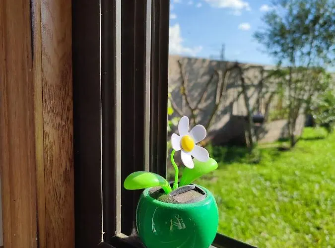 Tiny House Nativa