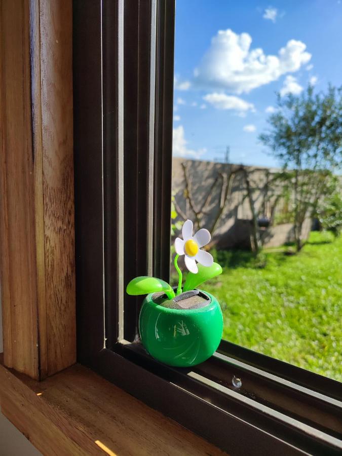 Tiny House Nativa Montecarlo